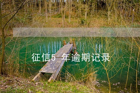 征信5年逾期记录 征信5年逾期记录
