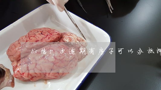 征信5次逾期有房子可以办抵押吗 征信5次逾期有房子可以办抵押吗