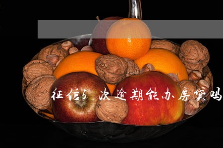 征信5次逾期能办房贷吗 征信5次逾期能办房贷吗