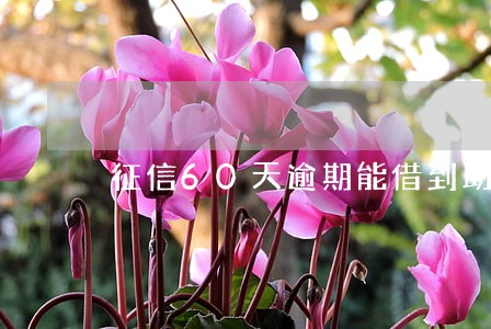 征信60天逾期能借到助学贷款吗 征信60天逾期能借到助学贷款吗