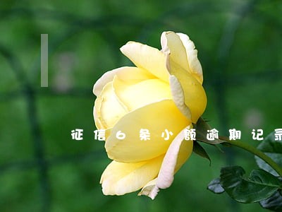 征信6条小额逾期记录 征信6条小额逾期记录