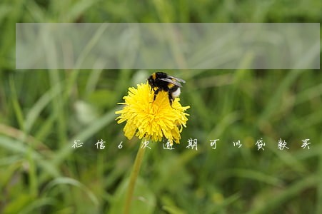 征信6次逾期可以贷款买房吗 征信6次逾期可以贷款买房吗