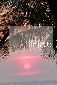 征信6次逾期多久消除