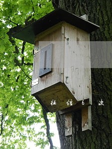 征信6次逾期是黑户 征信6次逾期是黑户