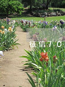 征信70次逾期怎么贷款 征信70次逾期怎么贷款