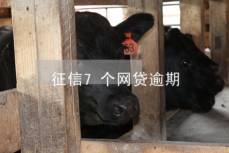 征信7个网贷逾期 征信7个网贷逾期