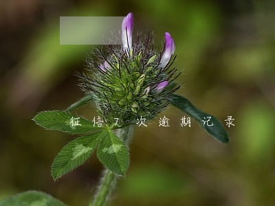 征信7次逾期记录 征信7次逾期记录