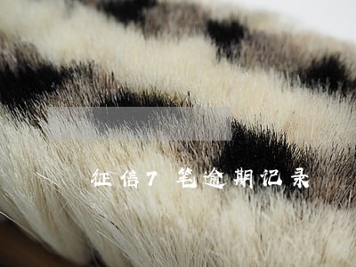 征信7笔逾期记录 征信7笔逾期记录