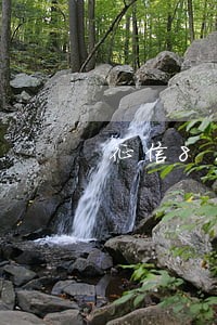 征信8次逾期已结清 征信8次逾期已结清