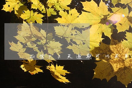 征信90天逾期可以买车 征信90天逾期可以买车
