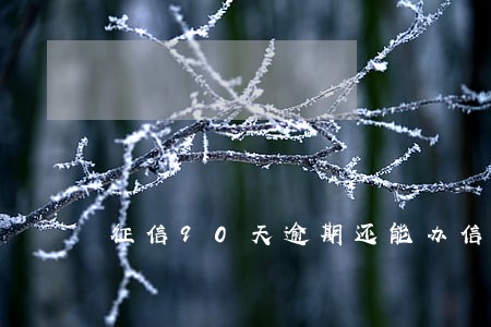 征信90天逾期还能办信用卡吗