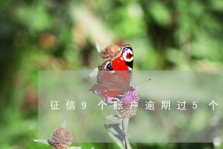 征信9个账户逾期过5个 征信9个账户逾期过5个