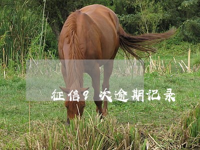征信9次逾期记录 征信9次逾期记录