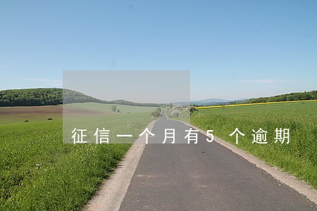 征信一个月有5个逾期 征信一个月有5个逾期