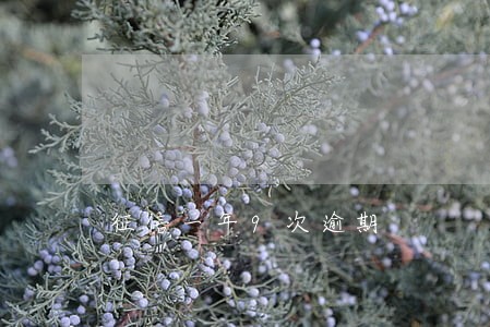 征信一年9次逾期 征信一年9次逾期
