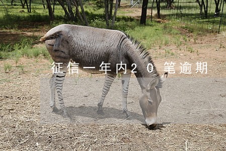 征信一年内20笔逾期 征信一年内20笔逾期