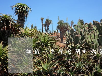 征信一年内逾期4次算严重吗 征信一年内逾期4次算严重吗