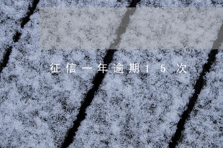 征信一年逾期15次 征信一年逾期15次