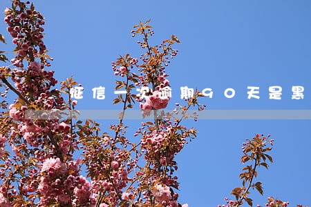 征信一次逾期90天是黑名单么 征信一次逾期90天是黑名单么