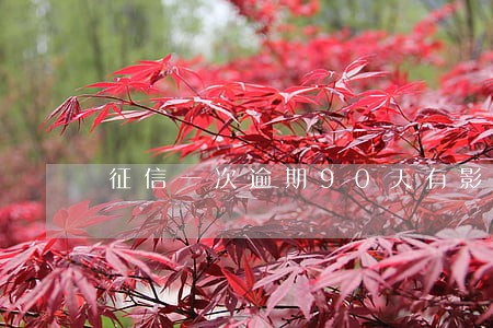征信一次逾期90天有影响 征信一次逾期90天有影响