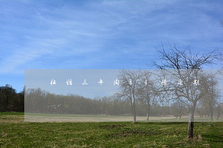 征信三年内35条逾期