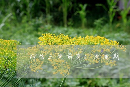 征信三年前有5次逾期 征信三年前有5次逾期
