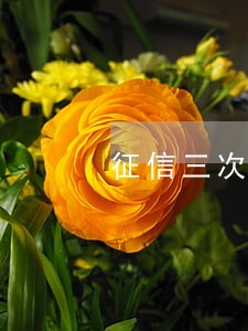 征信三次逾期1天记录 征信三次逾期1天记录