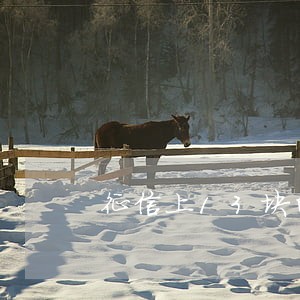 征信上13块的逾期没事吗 征信上13块的逾期没事吗