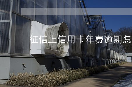 征信上信用卡年费逾期怎么办