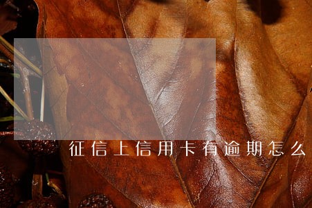 征信上信用卡有逾期怎么消除 征信上信用卡有逾期怎么消除