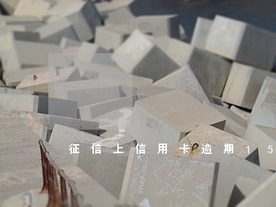 征信上信用卡逾期15个月
