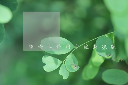征信上信用卡逾期次数 征信上信用卡逾期次数