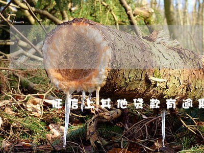 征信上其他贷款有逾期的状态