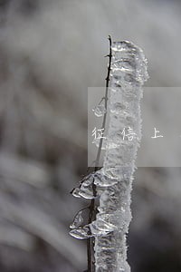 征信上怎么体现信用卡逾期 征信上怎么体现信用卡逾期