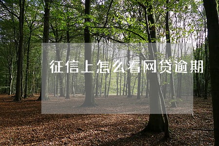 征信上怎么看网贷逾期 征信上怎么看网贷逾期