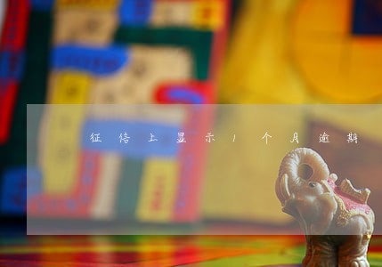 征信上显示1个月逾期 征信上显示1个月逾期