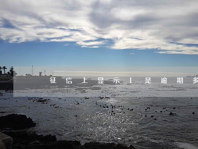 征信上显示1是逾期多少天 征信上显示1是逾期多少天