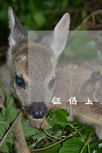 征信上显示2逾期累计算几次
