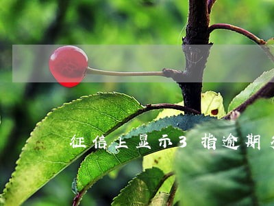 征信上显示3指逾期多少 征信上显示3指逾期多少