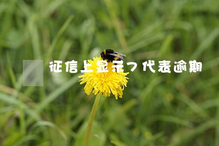 征信上显示7代表逾期 征信上显示7代表逾期
