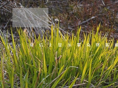 征信上显示掌众财富逾期 征信上显示掌众财富逾期