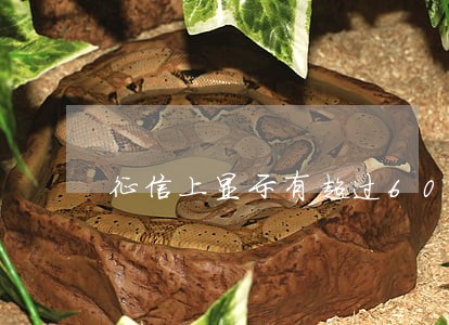 征信上显示有超过60天的逾期 征信上显示有超过60天的逾期