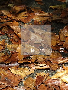 征信上显示逾期10次是什么情况 征信上显示逾期10次是什么情况
