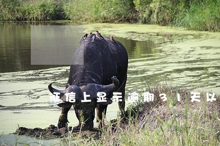 征信上显示逾期31天以上 征信上显示逾期31天以上