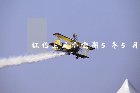 征信上显示逾期5年5月啥意思 征信上显示逾期5年5月啥意思