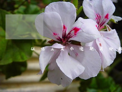 征信上显示逾期月份数是5 征信上显示逾期月份数是5