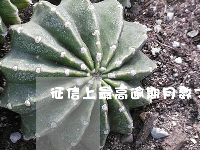 征信上最高逾期月数7已结清 征信上最高逾期月数7已结清