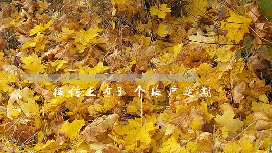 征信上有3个账户逾期 征信上有3个账户逾期