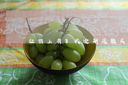 征信上有3次逾期还能买房吗 征信上有3次逾期还能买房吗