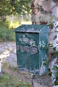 征信上有6000多逾期一年了 征信上有6000多逾期一年了